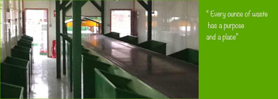 Picking Station Conveyor  slide image