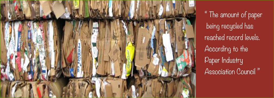 Recycled Cardboard slide image